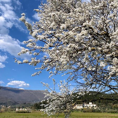 Accanto A Firenze Prato  Exteriér fotografie