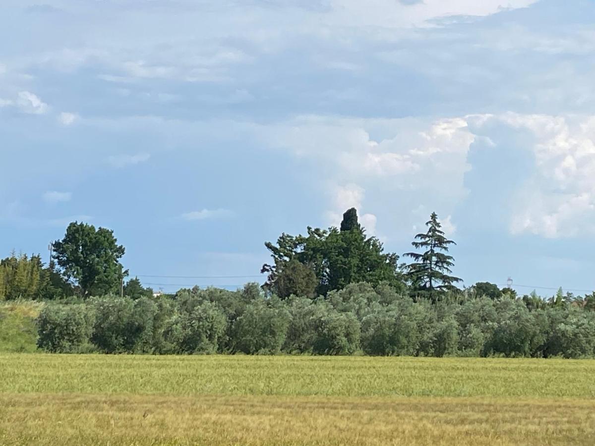 Accanto A Firenze Prato  Exteriér fotografie