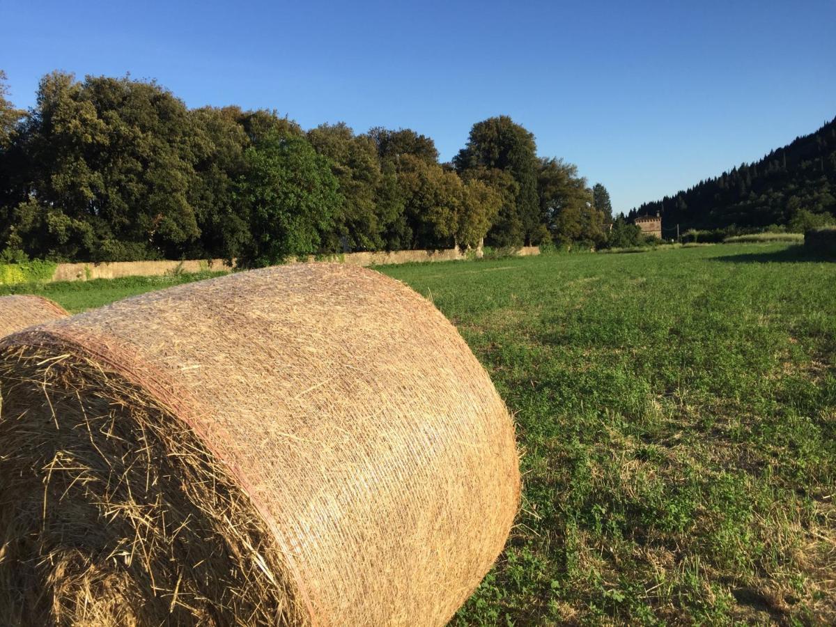 Accanto A Firenze Prato  Exteriér fotografie