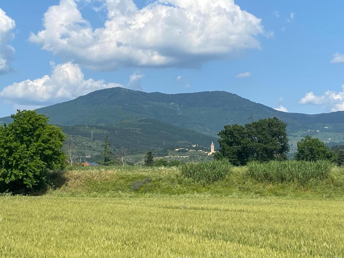 Accanto A Firenze Prato  Exteriér fotografie