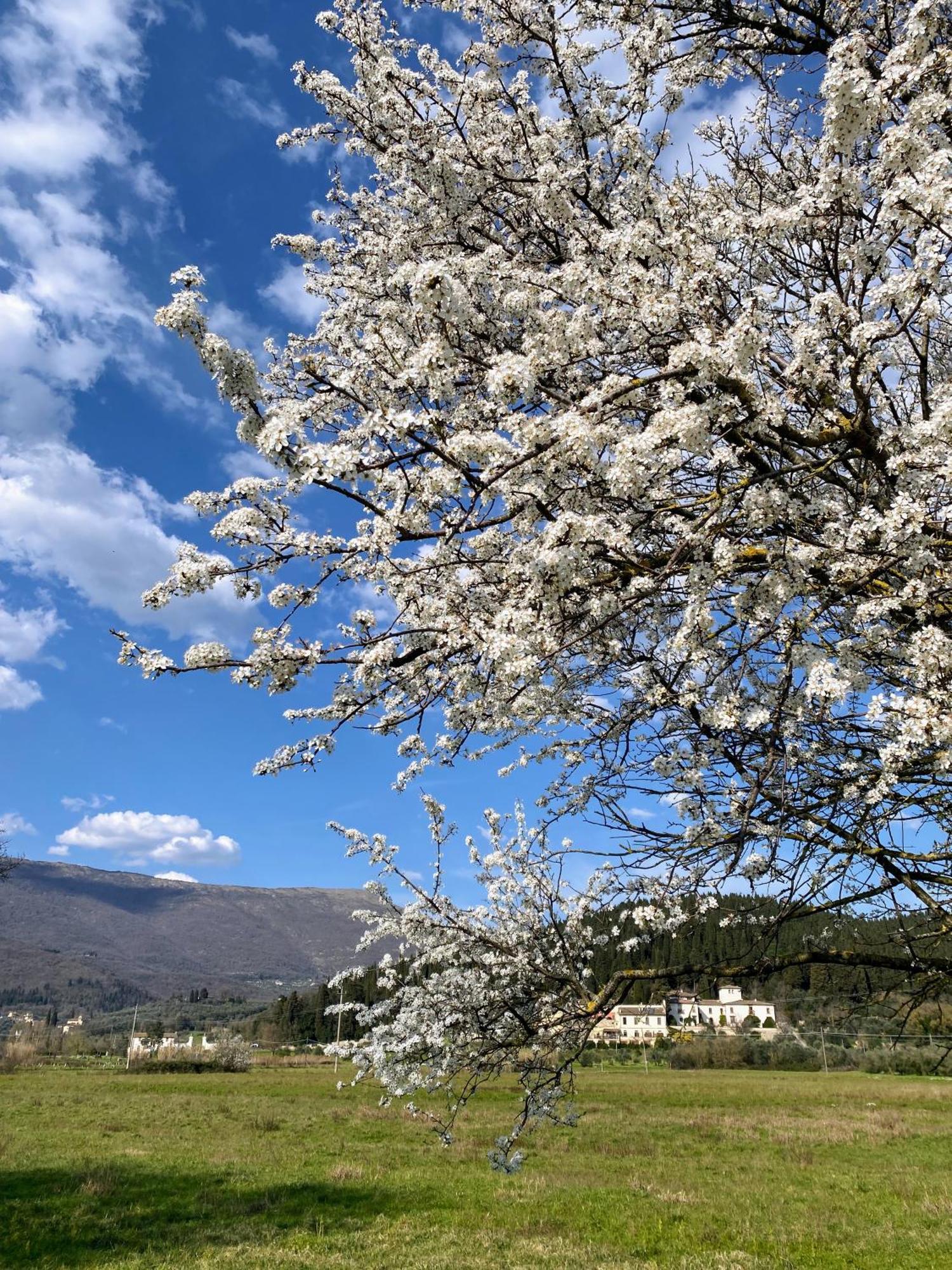 Accanto A Firenze Prato  Exteriér fotografie